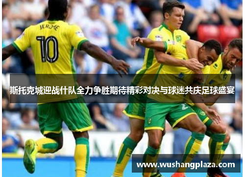 斯托克城迎战什队全力争胜期待精彩对决与球迷共庆足球盛宴